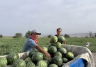下峪口网红吃瓜,揭秘网络红人的幕后生活