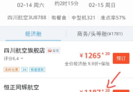 预定机票,轻松掌握预定技巧与注意事项”