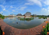 娱乐圈绿地,揭秘明星们的爱情绿地