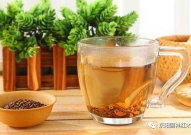 决明子茶的功效,降脂减肥——决明子茶的多重保健功效揭秘
